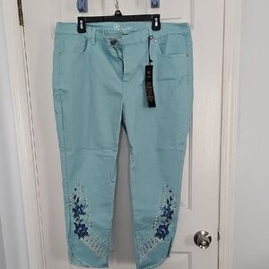 DG2 by Diane Gilman Aqua Jeans with Embroidery 18w